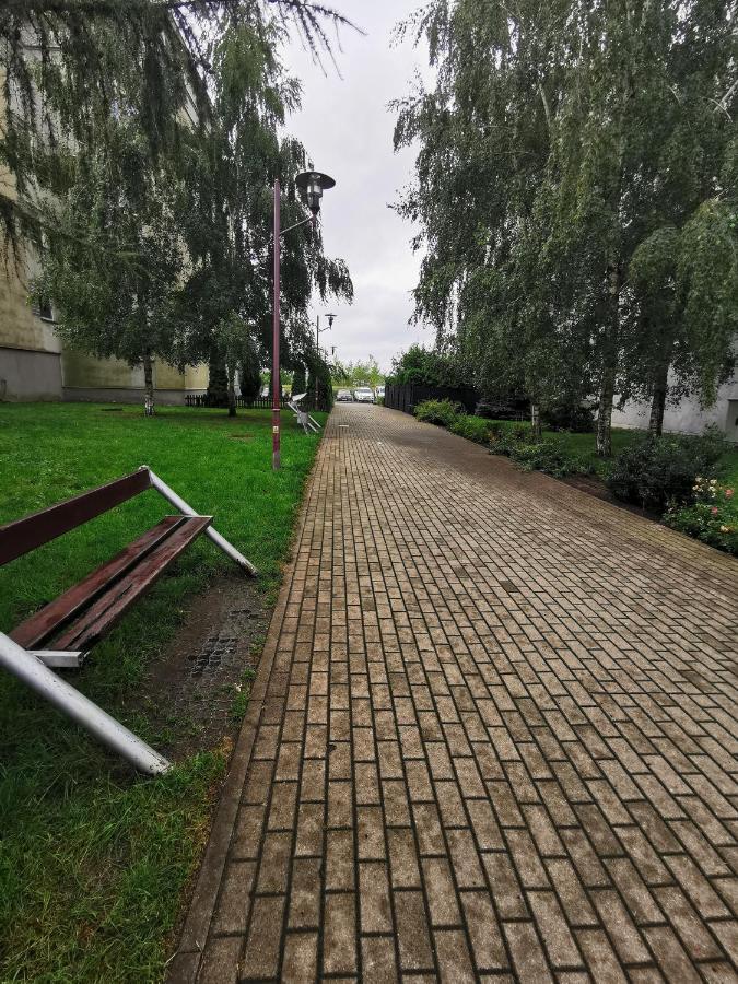 Kameralna Głębocka *